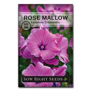 sow right seeds – tree mallow hibiscus seeds to plant – full instructions for planting and growing a beautiful flower garden; non-gmo heirloom seeds; wonderful gardening gift (1)