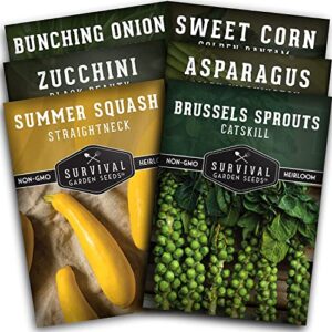 survival garden seeds – barbecue vegetables collection seed vault for planting – asparagus, brussels sprouts, green onion, zucchini, yellow squash, & sweet corn packs – non-gmo heirloom varieties
