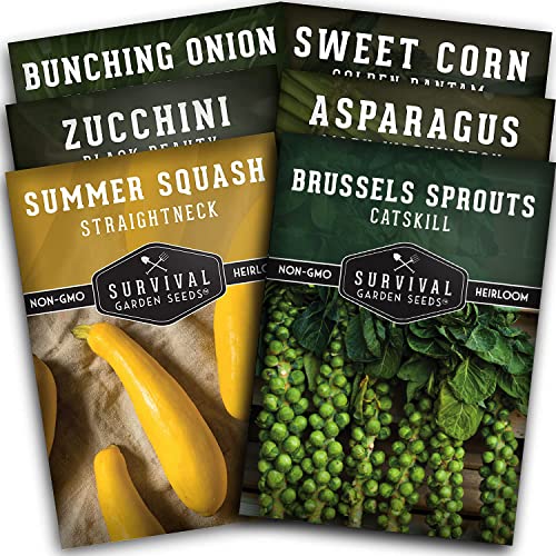 Survival Garden Seeds - Barbecue Vegetables Collection Seed Vault for Planting - Asparagus, Brussels Sprouts, Green Onion, Zucchini, Yellow Squash, & Sweet Corn Packs - Non-GMO Heirloom Varieties