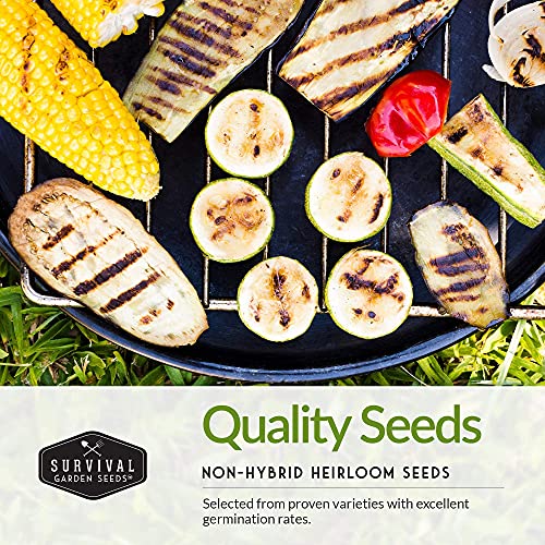 Survival Garden Seeds - Barbecue Vegetables Collection Seed Vault for Planting - Asparagus, Brussels Sprouts, Green Onion, Zucchini, Yellow Squash, & Sweet Corn Packs - Non-GMO Heirloom Varieties