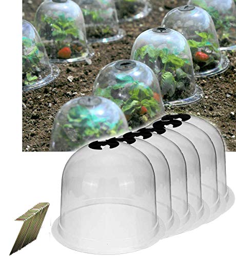 YANGMEI 10 Pack Reuseable 10" Plastic Greenhouse Garden Plant Bell Cover Germination Cover Frost Guard Freeze Protection Dome(Bonus 30 Metal Stakes+10 Plant Tags)