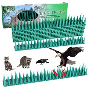 taishan bird spikes,10 pack plastic squirrel raccoon pigeon cat animal deterrent spikes for anti outdoor outside to keep birds away,anti fence railing and roof, green