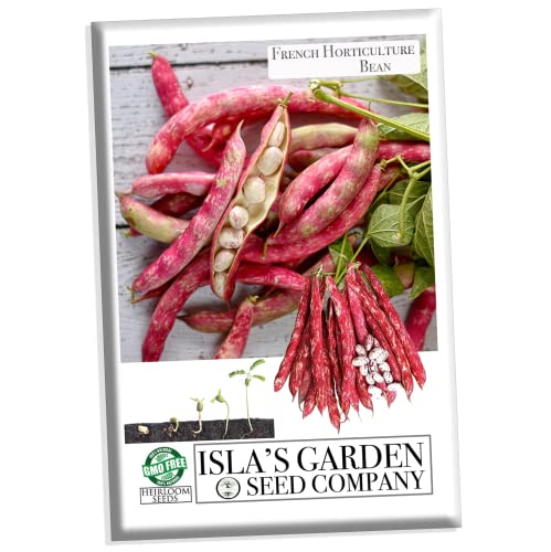 French Horticulture Bean Seeds for Planting, 50+ Heirloom Seeds Per Packet, (Isla's Garden Seeds), Non GMO Seeds, aka. Borlotti Bean, Botanical Name: Phaseolus vulgaris, Great Home Garden Gift