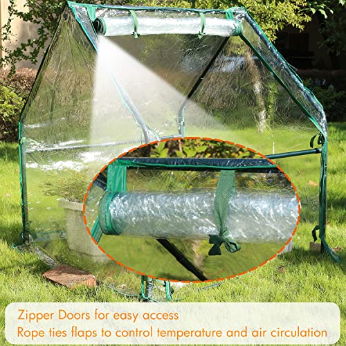 Gardzen Mini Greenhouse Heavy Duty Portable Green House, Clear Tent Indoor or Outdoor for Plants 36.2”(L) x36.2”(W) x42.5”(H)