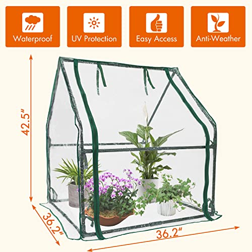 Gardzen Mini Greenhouse Heavy Duty Portable Green House, Clear Tent Indoor or Outdoor for Plants 36.2”(L) x36.2”(W) x42.5”(H)