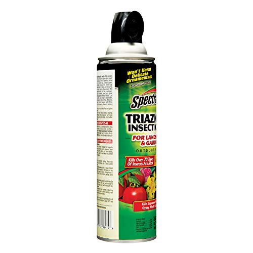 Spectracide Triazicide Insect Killer For Landscapes And Gardens Outdoor Fogger 16 Ounces