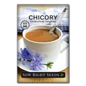 sow right seeds – chicory flower seeds for planting – beautiful blue flowers to plant in your garden – semi woody perennial with edible leaves – non-gmo heirloom seeds – wonderful gardening gift