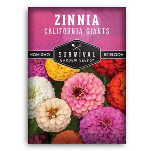 survival garden seeds – california giants zinnia seed for planting – packet with instructions to plant and grow zinnia elegans plants in your home vegetable garden – non-gmo heirloom variety