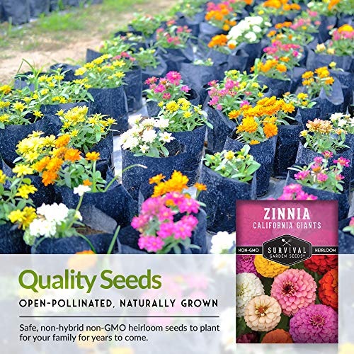 Survival Garden Seeds - California Giants Zinnia Seed for Planting - Packet with Instructions to Plant and Grow Zinnia Elegans Plants in Your Home Vegetable Garden - Non-GMO Heirloom Variety