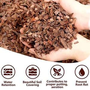 Legigo 2 Quarts Organic Orchid Potting Bark- All Natural Orchid Bark Potting Mix Pine Bark Wood Chips for Houseplant Mulch, Orchid Plants Root Development, Mulch for Potted Plants