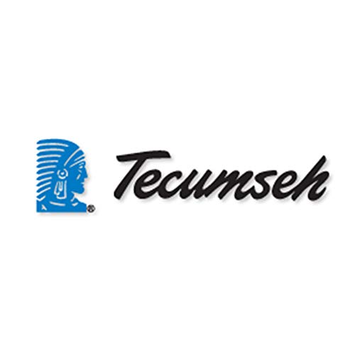 Tecumseh 640089 Lawn & Garden Equipment Nut Genuine Original Equipment Manufacturer (OEM) Part