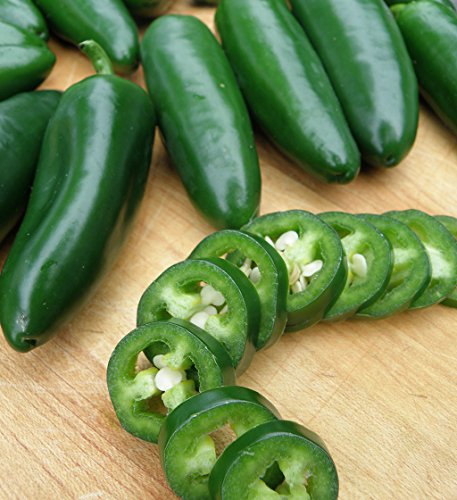 Jalapeño Tam Hot Peppers Seeds for Planting, 50+ Heirloom Seeds Per Packet, (Isla's Garden Seeds), Non GMO Seeds, Botanical Name: Capsicum annuum, Great Home Garden Gift