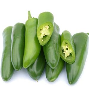 Jalapeño Tam Hot Peppers Seeds for Planting, 50+ Heirloom Seeds Per Packet, (Isla's Garden Seeds), Non GMO Seeds, Botanical Name: Capsicum annuum, Great Home Garden Gift