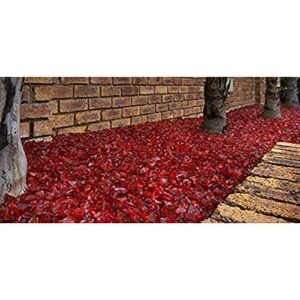 Margo Garden Products 1/4" 10lbs Dragon Glass, 10 lb, Red