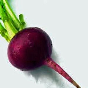 Beets, Early Wonder, Heirloom, Non GMO, 500 Seeds, Tender N Sweet Beet, Perfect