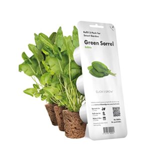 click and grow smart garden green sorrel plant pods, 3-pack