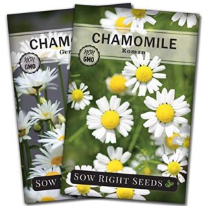 sow right seeds – chamomile seed collection for planting – german and roman varieties – non-gmo heirloom seeds – instructions to grow an herbal tea garden – wonderful gardening gift