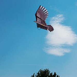 Defenders Hawk Kite (Humane Effective Bird Scarer for Buildings, Gardens, Crops)