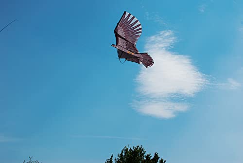 Defenders Hawk Kite (Humane Effective Bird Scarer for Buildings, Gardens, Crops)