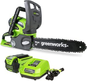 greenworks 40v 12″ chainsaw, 2.0ah battery and charger included