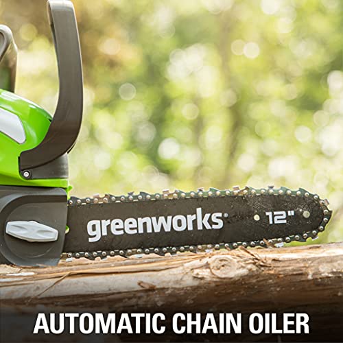 Greenworks 40V 12" Chainsaw, 2.0Ah Battery and Charger Included