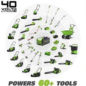 Greenworks 40V 12" Chainsaw, 2.0Ah Battery and Charger Included