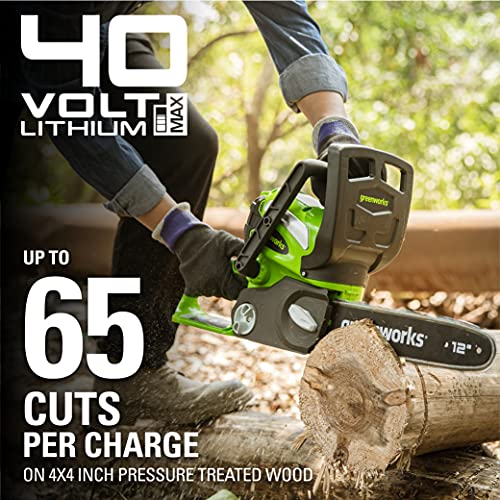 Greenworks 40V 12" Chainsaw, 2.0Ah Battery and Charger Included