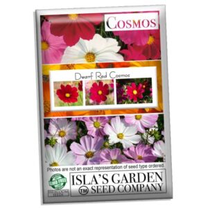 "Dwarf Red" Cosmos Flower Seeds for Planting, 100+ Heirloom Seeds Per Packet, (Isla's Garden Seeds), Non GMO Seeds, Scientific Name: Cosmos Bipinnatus, Great Home Flower Garden Gift