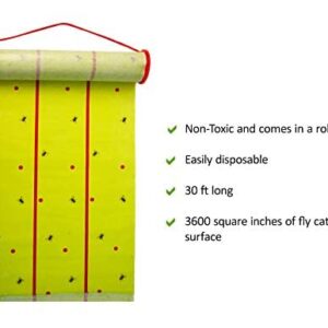 Giant Fly Glue Trap by Catchmaster - 3 Packs 30 Feet Each Pre-Baited, Ready to Use Indoors & Outdoors. Bug Insect Infestation Sticky Adhesive Scented Green Color Barn Paper Sheet Disposable Non-Toxic