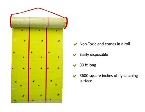 Giant Fly Glue Trap by Catchmaster - 3 Packs 30 Feet Each Pre-Baited, Ready to Use Indoors & Outdoors. Bug Insect Infestation Sticky Adhesive Scented Green Color Barn Paper Sheet Disposable Non-Toxic