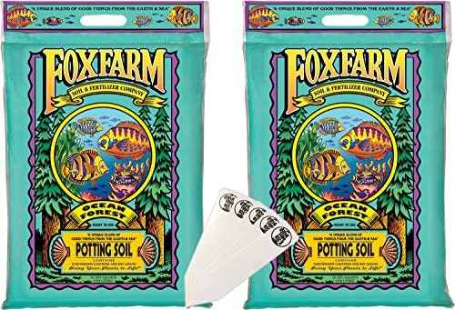 FoxFarm Ocean Forest Potting Soil Mix Indoor Outdoor for Garden and Plants | Plant Fertilizer | 12 Quarts (2 Pack) | + The Hydroponic City Stake