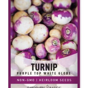 Turnip Seeds for Planting (Purple White Top Globe) Heirloom, Non-GMO Vegetable Variety- 1 Gram Seeds Great for Summer, Fall and Winter Gardens by Gardeners Basics