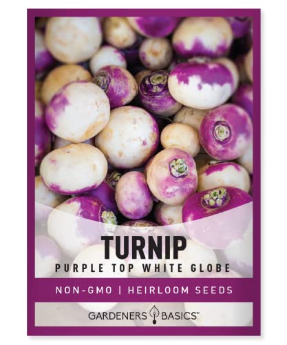 Turnip Seeds for Planting (Purple White Top Globe) Heirloom, Non-GMO Vegetable Variety- 1 Gram Seeds Great for Summer, Fall and Winter Gardens by Gardeners Basics