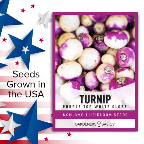 Turnip Seeds for Planting (Purple White Top Globe) Heirloom, Non-GMO Vegetable Variety- 1 Gram Seeds Great for Summer, Fall and Winter Gardens by Gardeners Basics