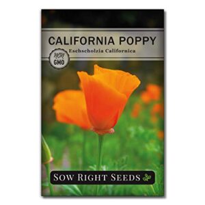 Sow Right Seeds - California Poppy Seeds to Plant - Full Instructions for Planting and Growing a Beautiful Flower Garden; Non-GMO Heirloom Seeds; Wonderful Gardening Gift (1)