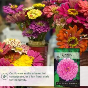 Sow Right Seeds - Luminosa Zinnia Flower Seeds for Planting, Beautiful Flowers to Plant in Your Garden; Non-GMO Heirloom Seed; Wonderful Gardening Gifts (1 Packet)