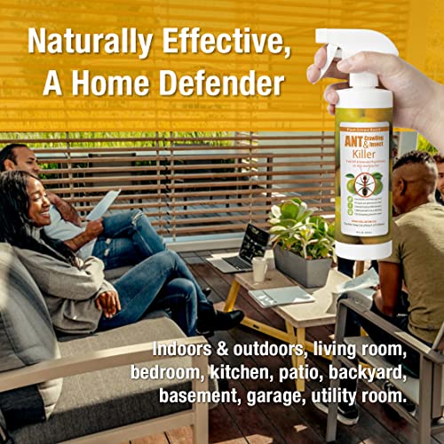 EcoVenger Ant Killer & Crawling Insect Killer, 32oz Ready to Use, Indoor & Outdoor, Kills & Repels, Lasting Prevention, Natural & Non-Toxic Plant Based Formula, Pleasant Citrus Scent