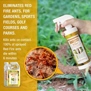 EcoVenger Ant Killer & Crawling Insect Killer, 32oz Ready to Use, Indoor & Outdoor, Kills & Repels, Lasting Prevention, Natural & Non-Toxic Plant Based Formula, Pleasant Citrus Scent