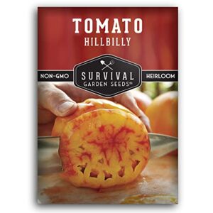 survival garden seeds – hillbilly tomato seed for planting – packet with instructions to plant and grow uniquely colored potato leaf tomatoes in your home vegetable garden – non-gmo heirloom variety