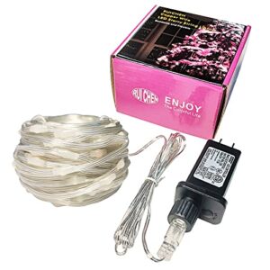 RUICHEN Fairy Lights Plug in, Waterproof 8 Modes 72 Ft 200 LED PVC Coating Silver Wire Twinkle String Lights for Bedroom Patio Garden Fence Christmas Wedding Party (Warm White)