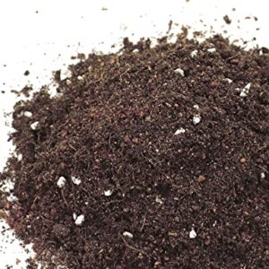 Sphagnum Peat Moss, Natural Bonsai Potting Mix, Succulent and Cactus Potting Soil, Organic Garden Growing Soil Amendment and Media, for Flowers, Vegetables, Herbs, Orchid, Indoor Houseplant, 3qt