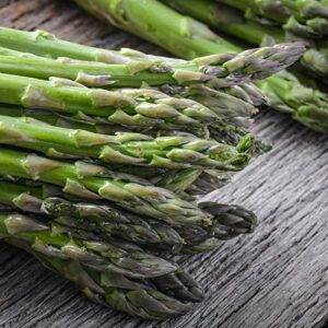 uc 157 f2 asparagus garden seeds – 2 g packet ~60 seeds – non-gmo, hybrid, perennial vegetable gardening seeds