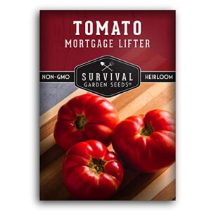 Survival Garden Seeds - Mortgage Lifter Tomato Seed for Planting - Pack with Instructions to Plant and Grow Huge Delicious Tomatoes in Your Home Vegetable Garden - Non-GMO Heirloom Variety or Planting