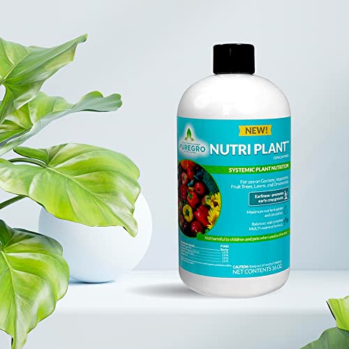 PureGro Nutri Plant Concentrate - Plant Food with Micro Nutrients - Indoor Plant Fertilizer & Outdoor Plant Fertilizer - Suitable for Vegetables, Plants & Gardens - Liquid Plant Food (16 oz)