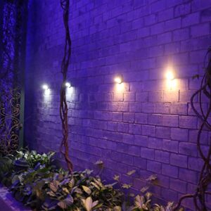 Arclight Solar LED Fence Lights Motion Sensor Wall Light Weatherproof Landscape Decorative Lighting for Fence Garden Pathway (Warm White+Side Blue LED, 2 Pack)