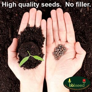 "Super Greens" Seeds for Planting, Organic Non-GMO Garden Vegetables, Arugula, Beets, Kale, Mesclun, Chard, Mustard, Spinach, BBB Seed