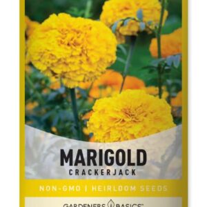 Marigold Seeds for Planting Outdoors (Crackerjack Variety) Annual Open-Pollinated, Heirloom, Non-GMO Flower Variety- 800mg Seeds Great for Summer Cut Flower Gardens by Gardeners Basics