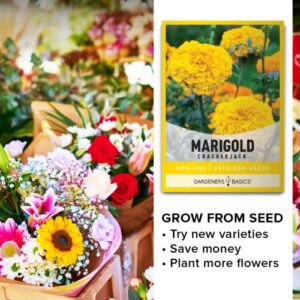 Marigold Seeds for Planting Outdoors (Crackerjack Variety) Annual Open-Pollinated, Heirloom, Non-GMO Flower Variety- 800mg Seeds Great for Summer Cut Flower Gardens by Gardeners Basics