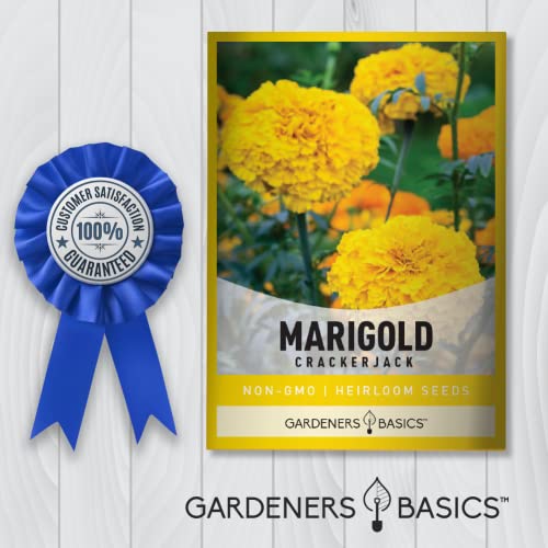 Marigold Seeds for Planting Outdoors (Crackerjack Variety) Annual Open-Pollinated, Heirloom, Non-GMO Flower Variety- 800mg Seeds Great for Summer Cut Flower Gardens by Gardeners Basics