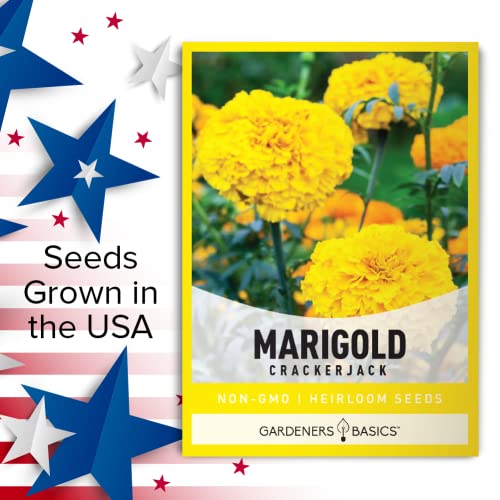 Marigold Seeds for Planting Outdoors (Crackerjack Variety) Annual Open-Pollinated, Heirloom, Non-GMO Flower Variety- 800mg Seeds Great for Summer Cut Flower Gardens by Gardeners Basics